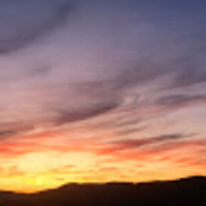 Meet your Posher, Harley